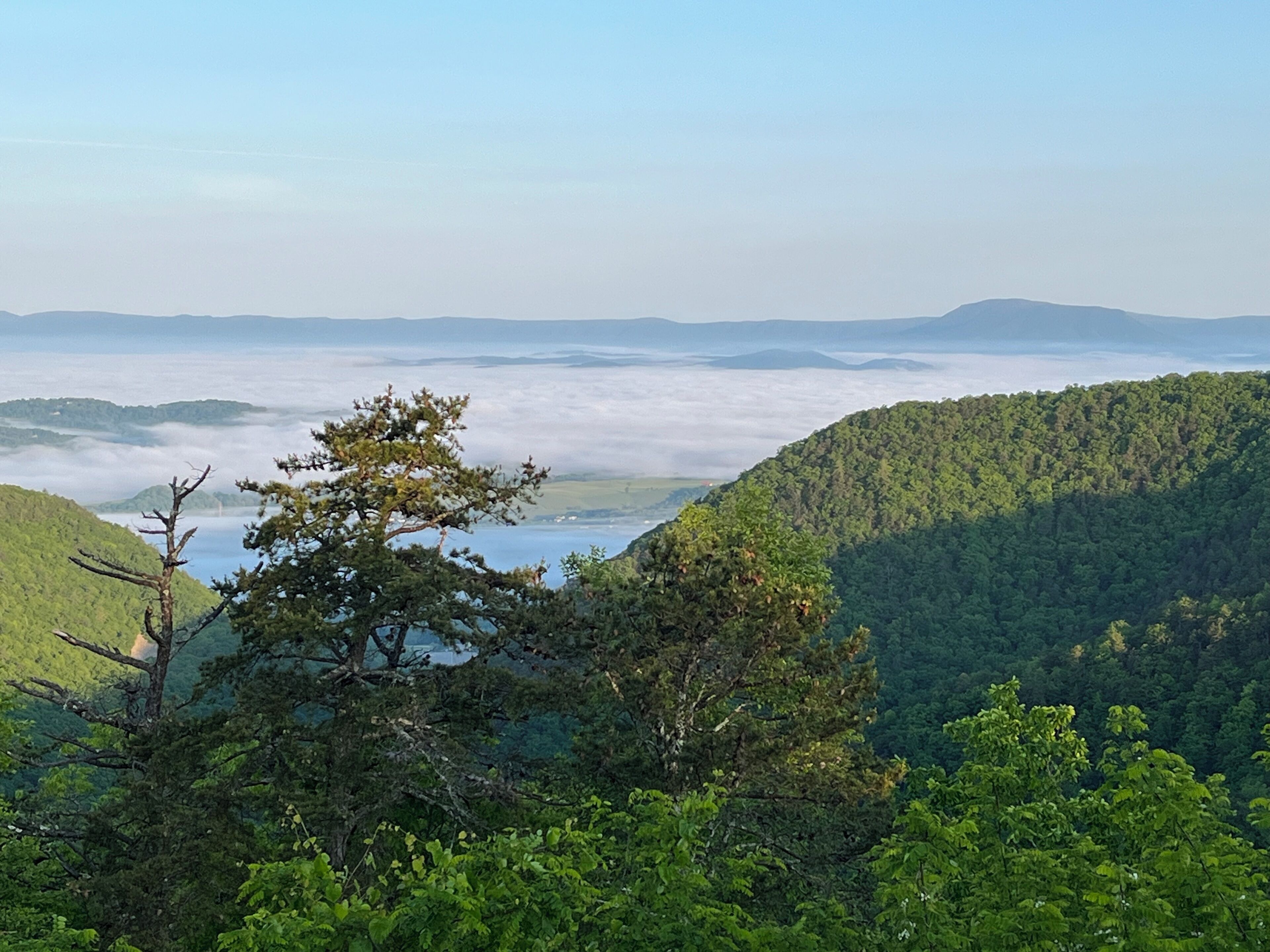 A mountainous landscape with dense forest and a view of a valley below.