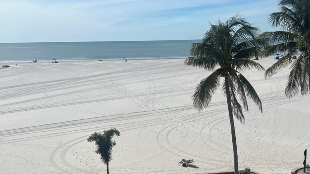 Una playa con palmeras, un sendero pavimentado y vistas al océano.