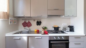 Fridge, oven, stovetop, dishwasher