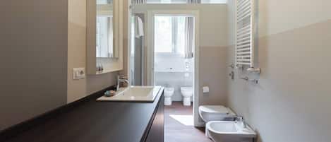 Shower, hair dryer, bidet, towels