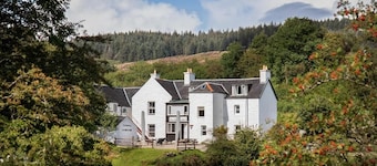 The Bellachroy
