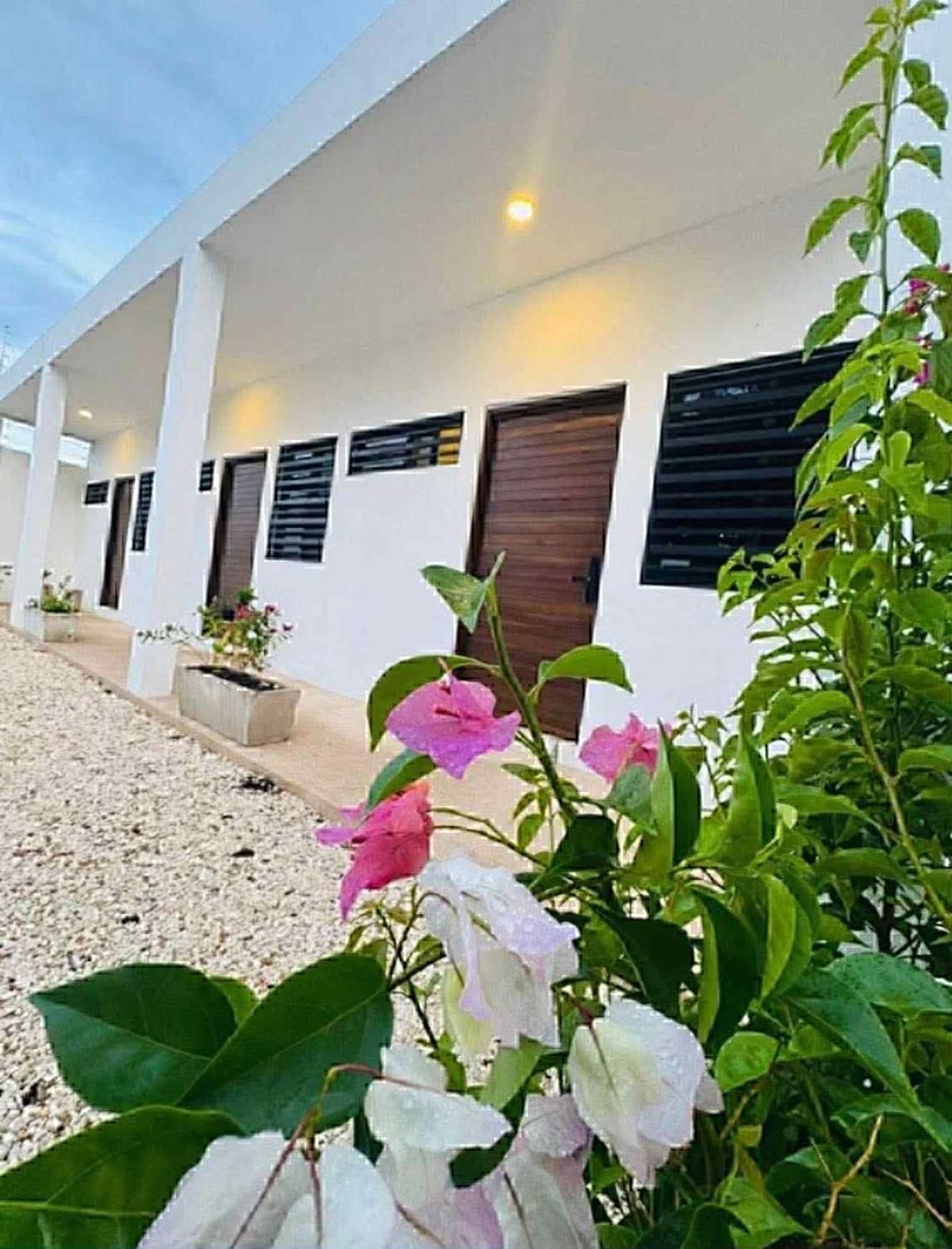 Image de profil de lâhĂŽte