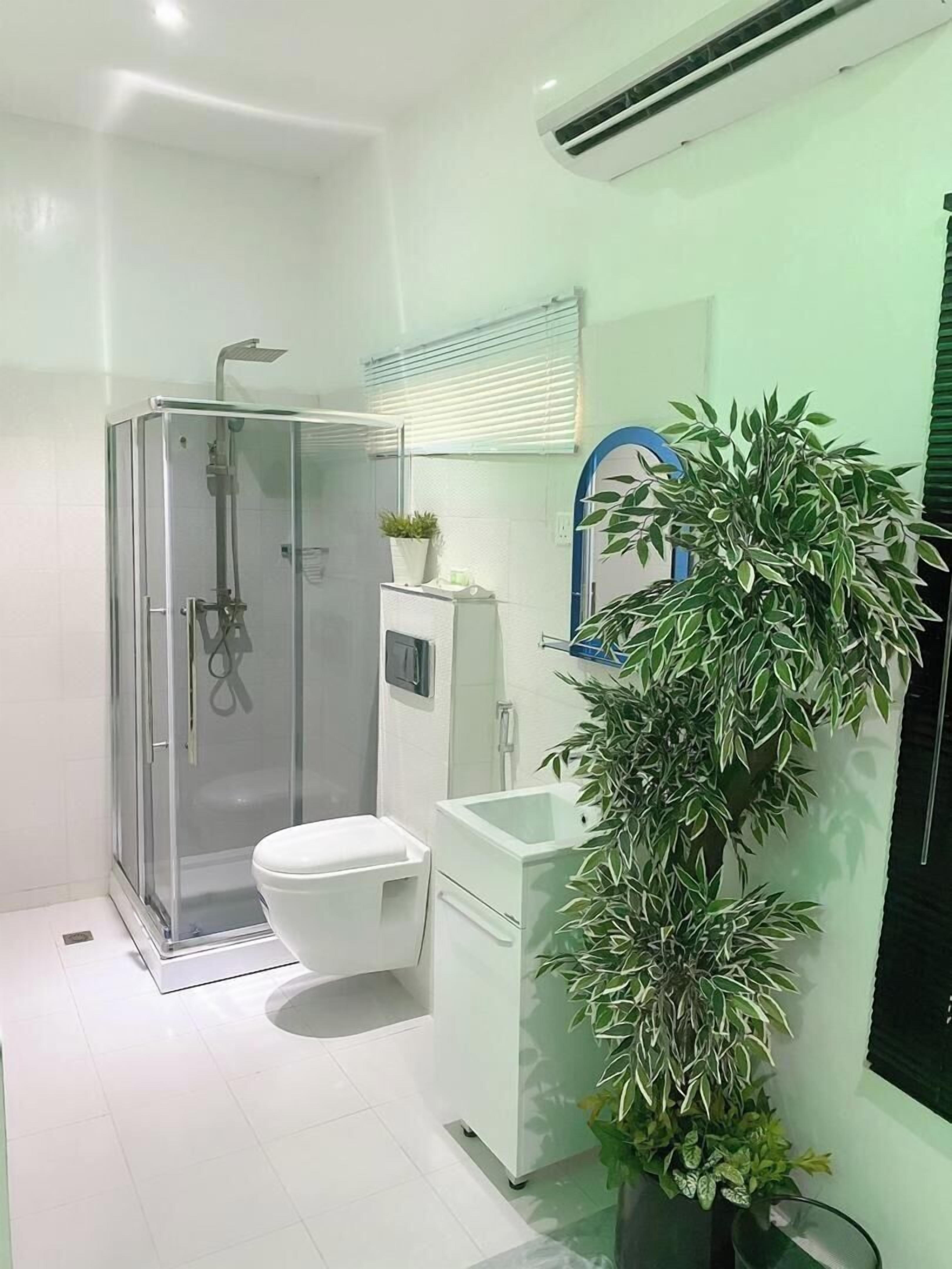 A modern bathroom with a glass-enclosed shower, a toilet, a sink, and a large potted plant.