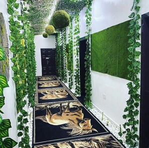 Un couloir étroit, agrémenté de plantes vertes et doté d’un sol à motifs noirs et blancs.