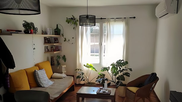 Un salon moderne avec un canapé, une table basse et des fauteuils. On y trouve des plantes, une bibliothèque et une fenêtre avec des rideaux.