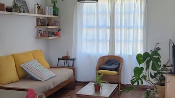 Televisie