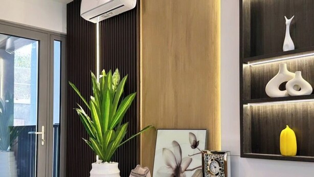 A modern interior with a large potted plant, a framed picture, and decorative items on a shelf. - Damido's Apartment (Abuja)
