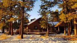 Une cabane entourée de grands pins, dotée d’une terrasse en bois et d’un porche abrité.