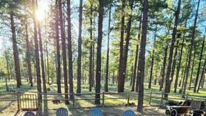 Une zone boisée avec un foyer entouré de chaises Adirondack bleues.