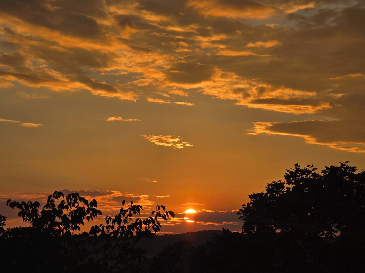 Imagen de perfil del propietario o de la propietaria