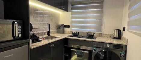 Family Apartment, Balcony, City View | Private kitchen | Fridge, microwave, oven, stovetop