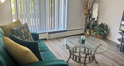 Charming Overlook 1BR- Quiet, Clean, and Comfortable