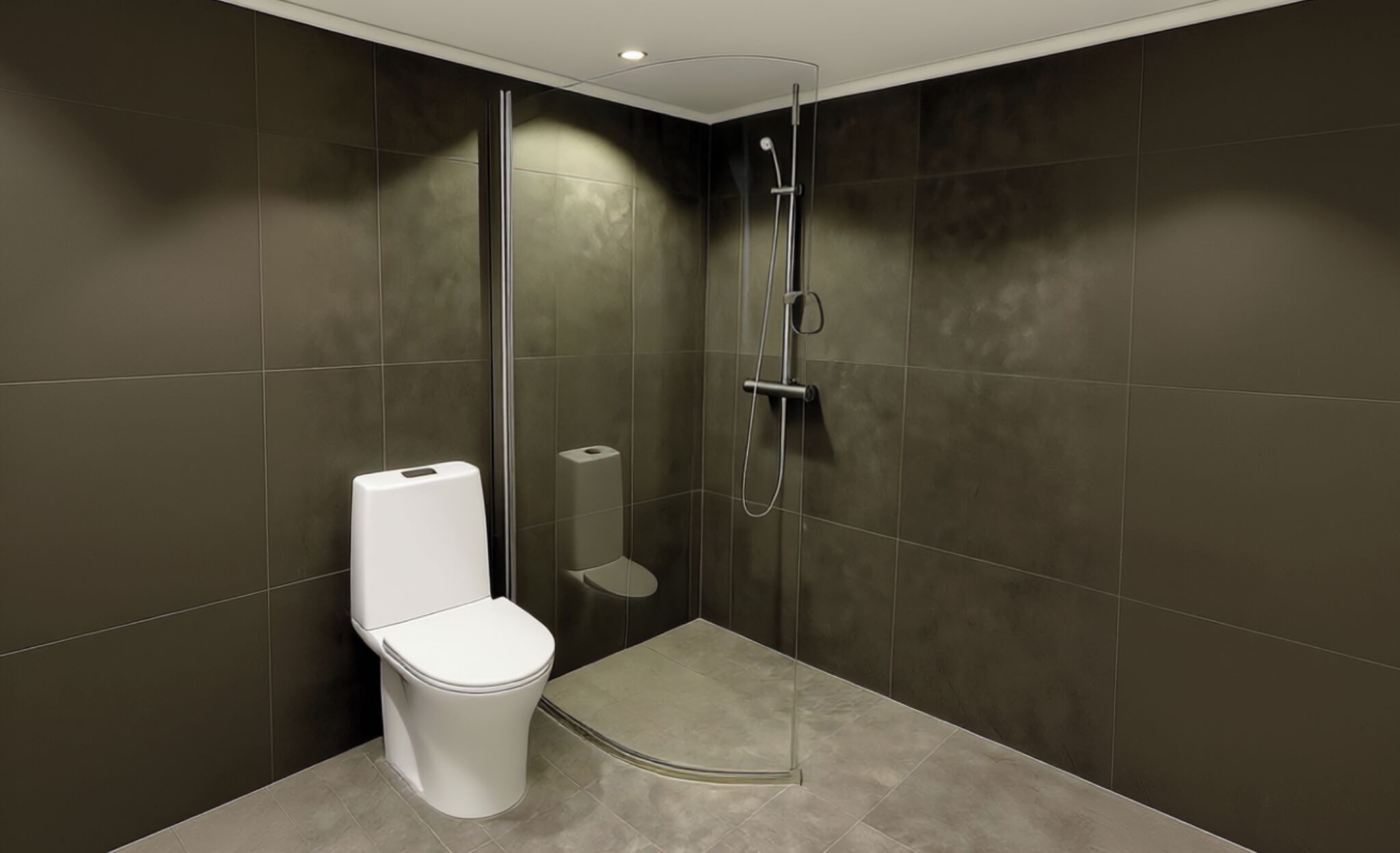 Shower, towels, toilet paper
