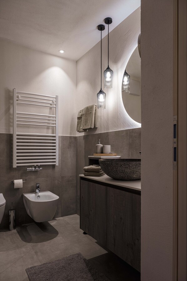 Shower, hair dryer, bidet, towels