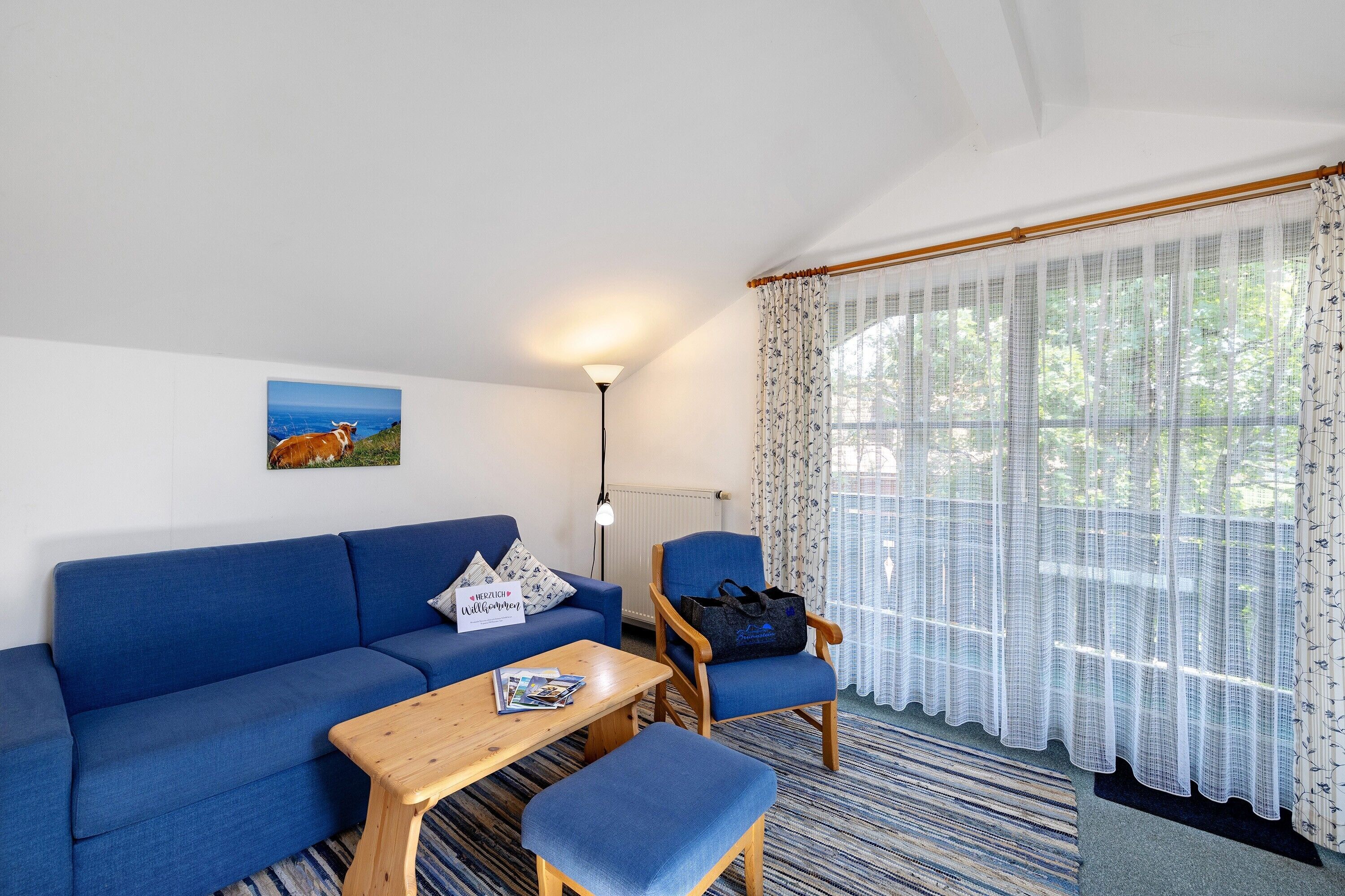 Televisión, mesa de ping pong