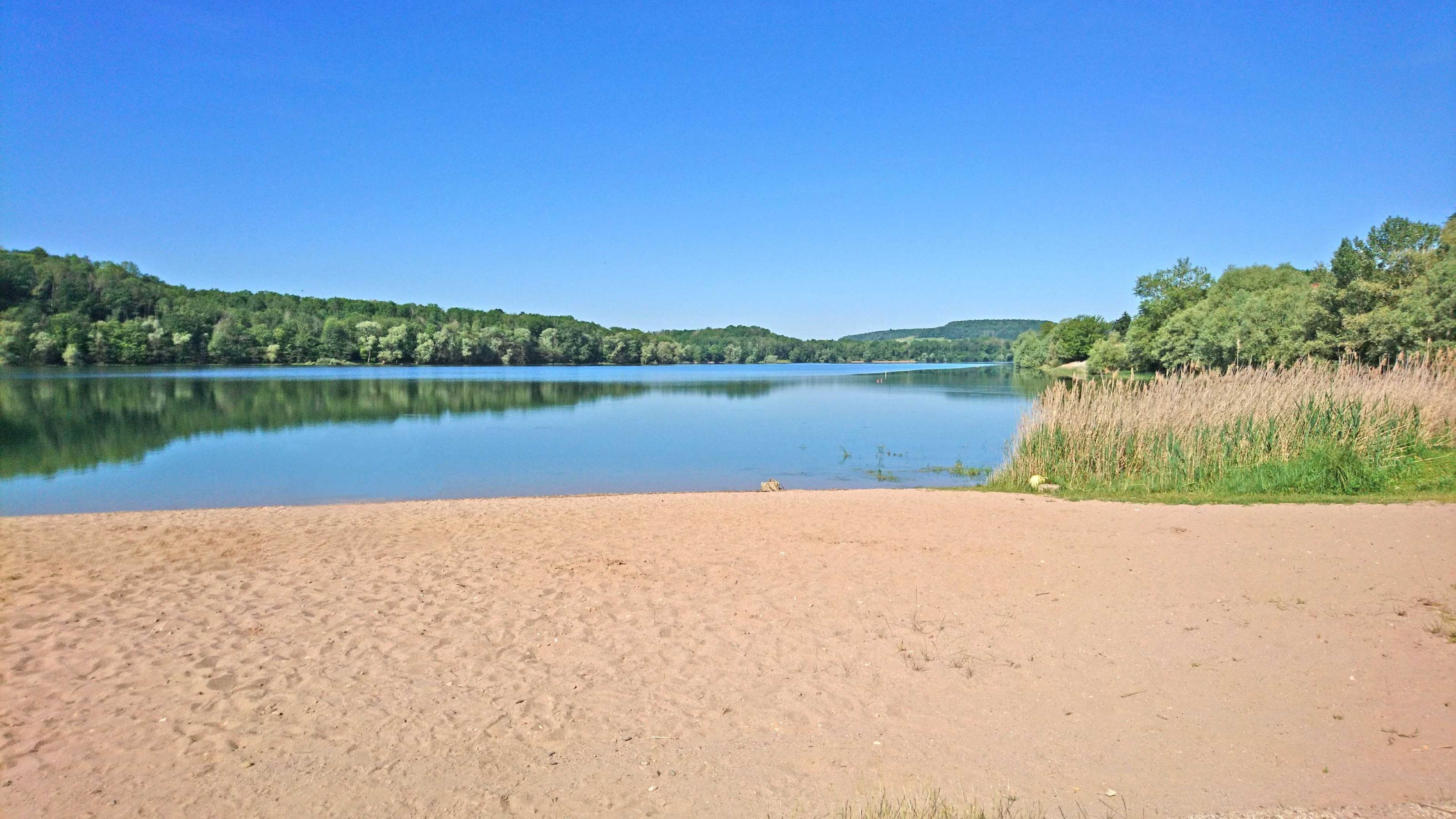 A sandy beach with a calm lake, surrounded by dense green forest.
