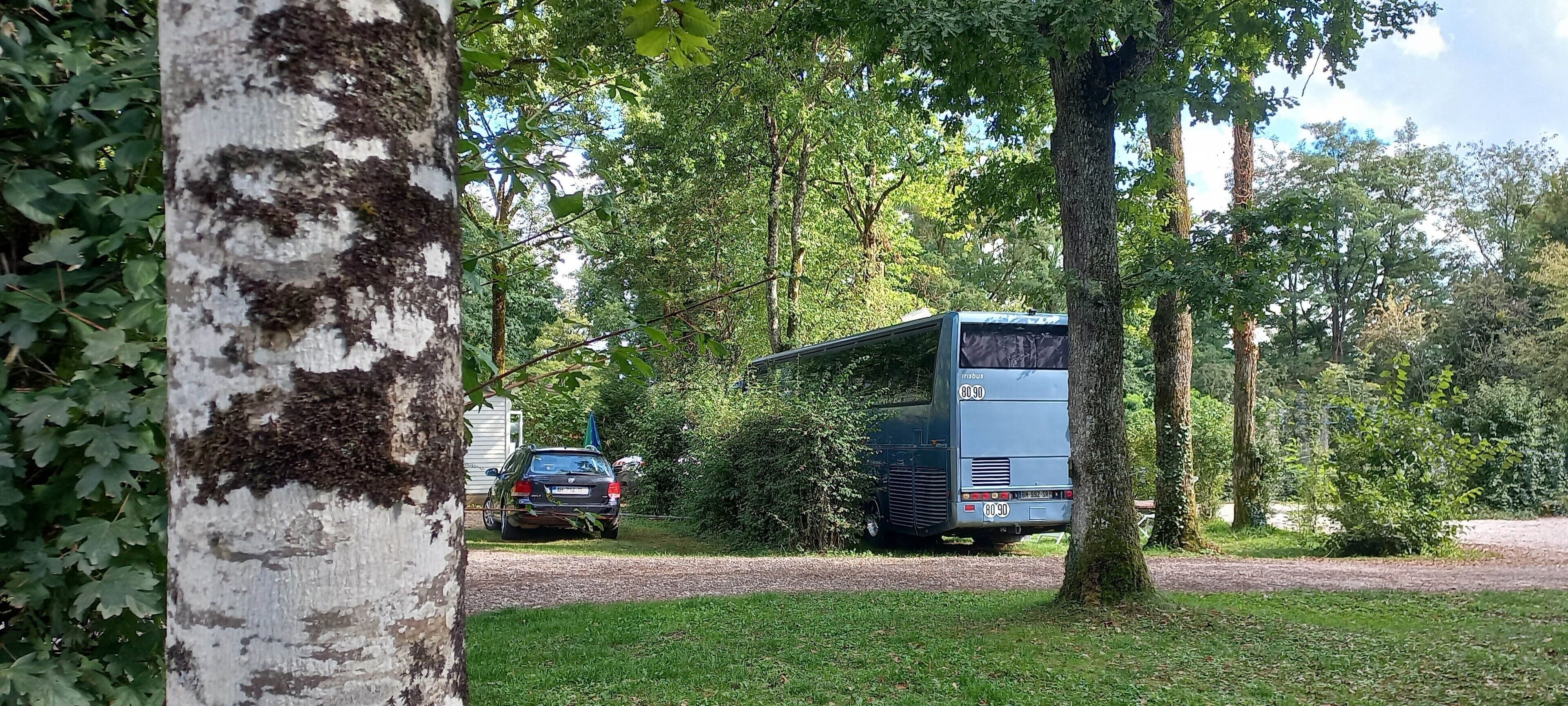 Un autobus est garé dans une zone boisée, avec une voiture en arrière-plan.