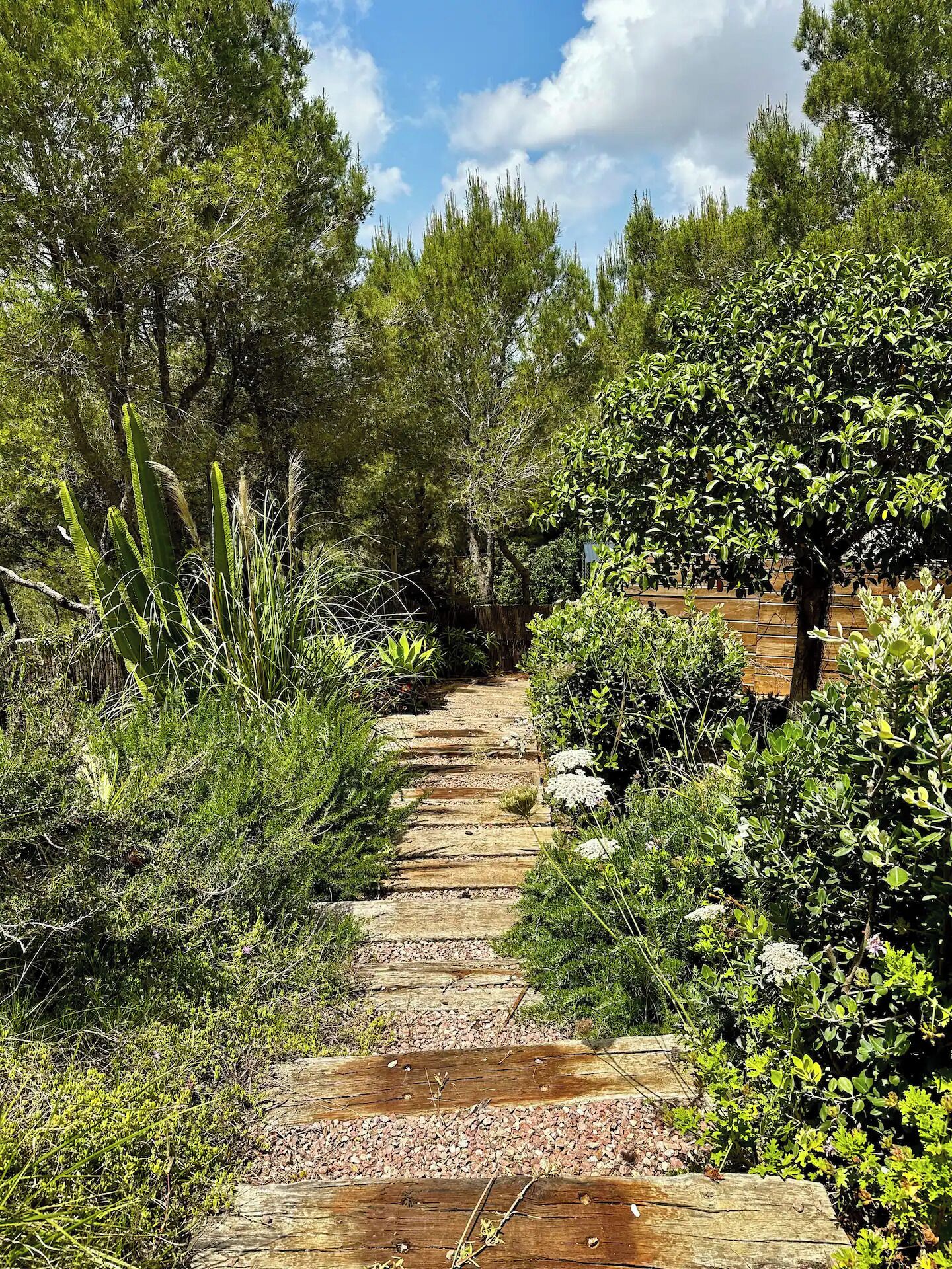 Áreas de la propiedad