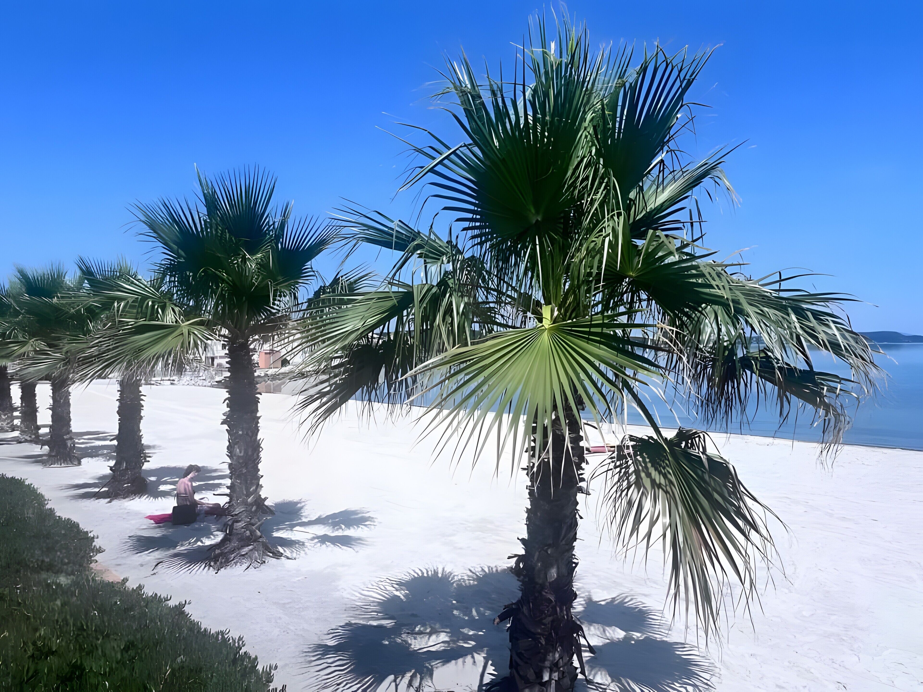 Strand