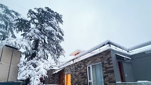 A two-story house with a brick exterior and a window with curtains. Snow covers the ground and trees. - the perch shimla (Shimla)