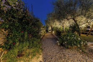 A pathway flanked by lush vegetation and illuminated by soft lighting.