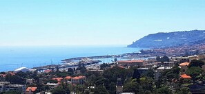 Miscellaneous - AGAVE VICTORIAE REGINAE APARTMENT - Vista mare (Sanremo)