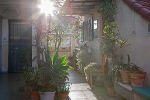 Een smalle binnentuin met plantenpotten en een betegelde vloer.