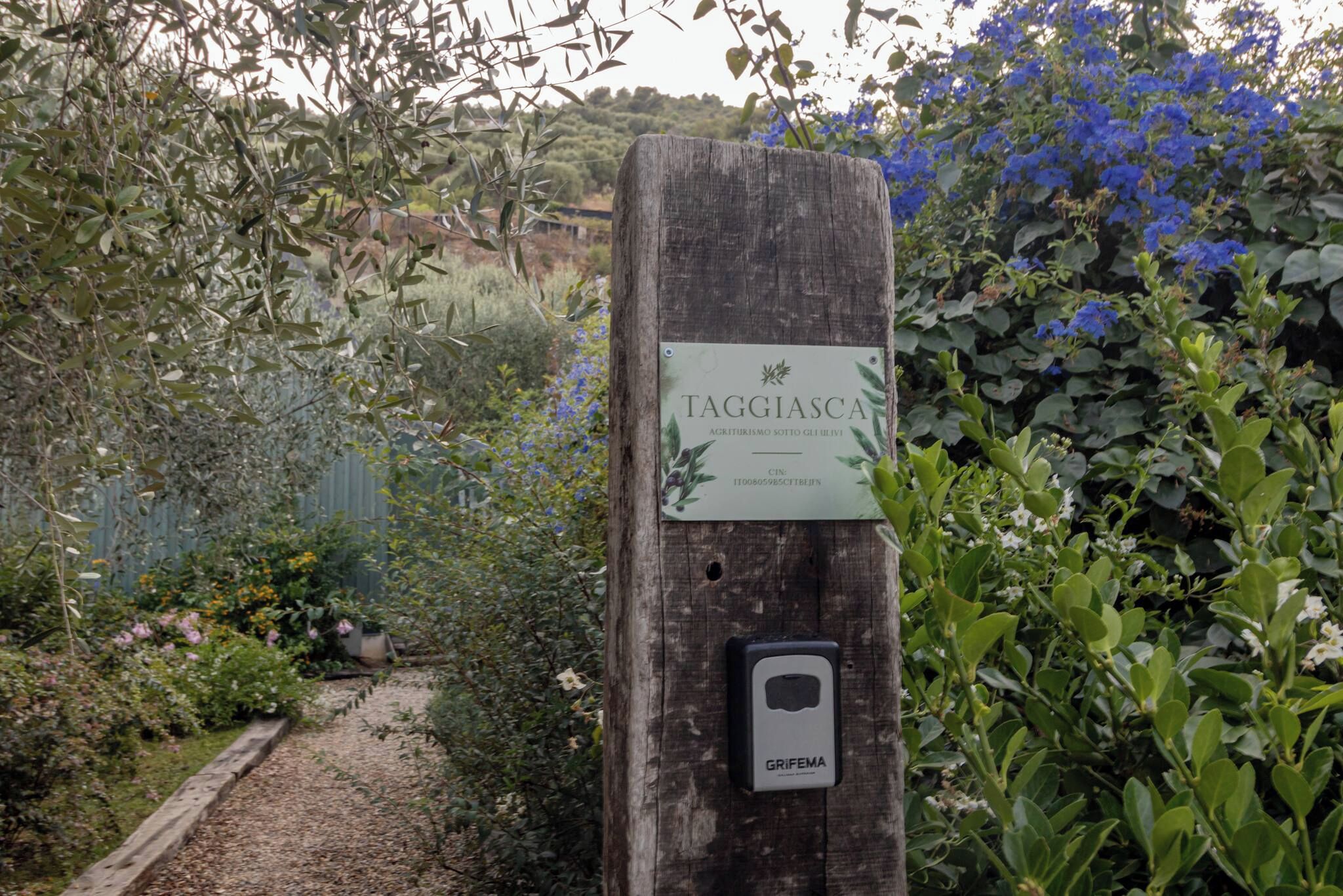 Uma placa de madeira com a identificação de Tagliasca, uma vinícola sob cultivo de oliveiras, e um abridor de garrafa de vinho Grifema preso à placa.