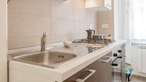 Una cucina moderna con lavello in acciaio inossidabile, piano cottura a gas e forno integrato.