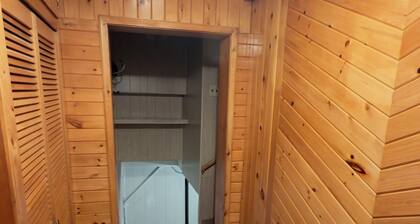 Urban Basement Retreat