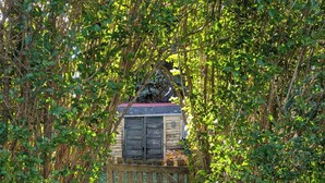 A garden pathway leading to a wooden structure with a metal door, surrounded by dense foliage and stone lion statues. - 1880 updated Victorian 1st floor, water views (Salem)