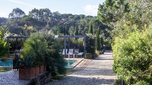 A pool area with lounge chairs and a pergola, surrounded by greenery and trees.