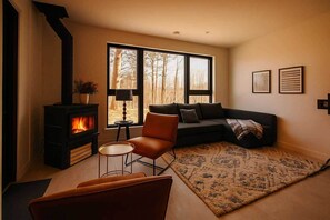 TV, fireplace, ping pong