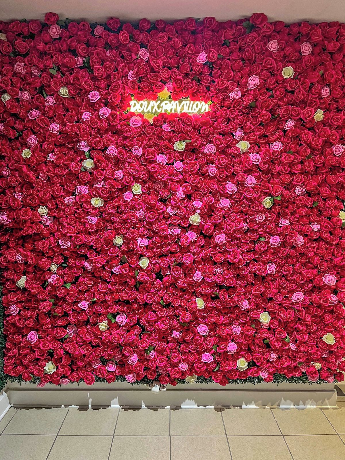 Un muro ricoperto di rose rosse e un cartello con la scritta 'DORIX PAVILLON'.