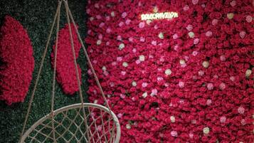 A hanging chair suspended by ropes against a backdrop of densely packed red flowers.