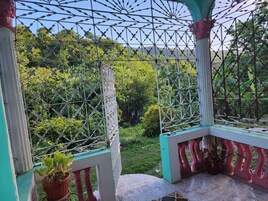 A covered outdoor area with a metal fence and potted plants.