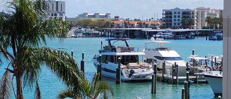 A marina with several boats docked, surrounded by buildings and palm trees.