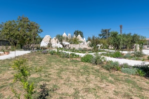 A garden with white buildings, a tree, and a clear blue sky.
