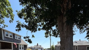 Een woonstraat met huizen, een boom en een heldere lucht.
