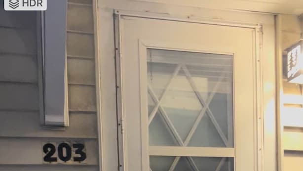 A white door with a glass panel, a mailbox, and a house number 203. - Steps to Metra - Fully Updated - Downtown Harvard (Harvard)