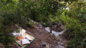 Un montaje para picnic con una manta, toallas y una botella en un área boscosa.