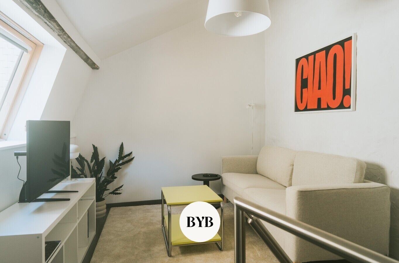 TV