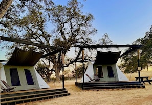 Two tents with a platform and a bench, surrounded by trees.