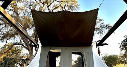 Cute, Lakeside Glamping Bell Tent #2, Wheatland, California