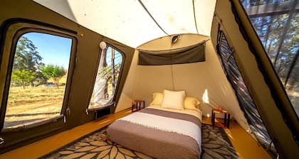 Cute, Lakeside Glamping Bell Tent + Amenities, Wheatland, California
