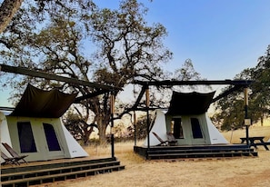 Two tents with a platform and a bench, surrounded by trees.