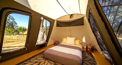 Cute, Lakeside Glamping Bell Tent + Amenities, Wheatland, California