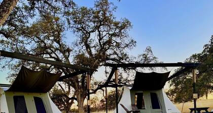 Cute, Lakeside Glamping Bell Tent + Amenities, Wheatland, California