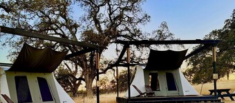 Cute, Lakeside Glamping Bell Tent + Amenities, Wheatland, California