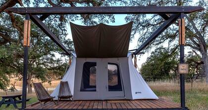 Cute, Lakeside Glamping Bell Tent + Amenities, Wheatland, California